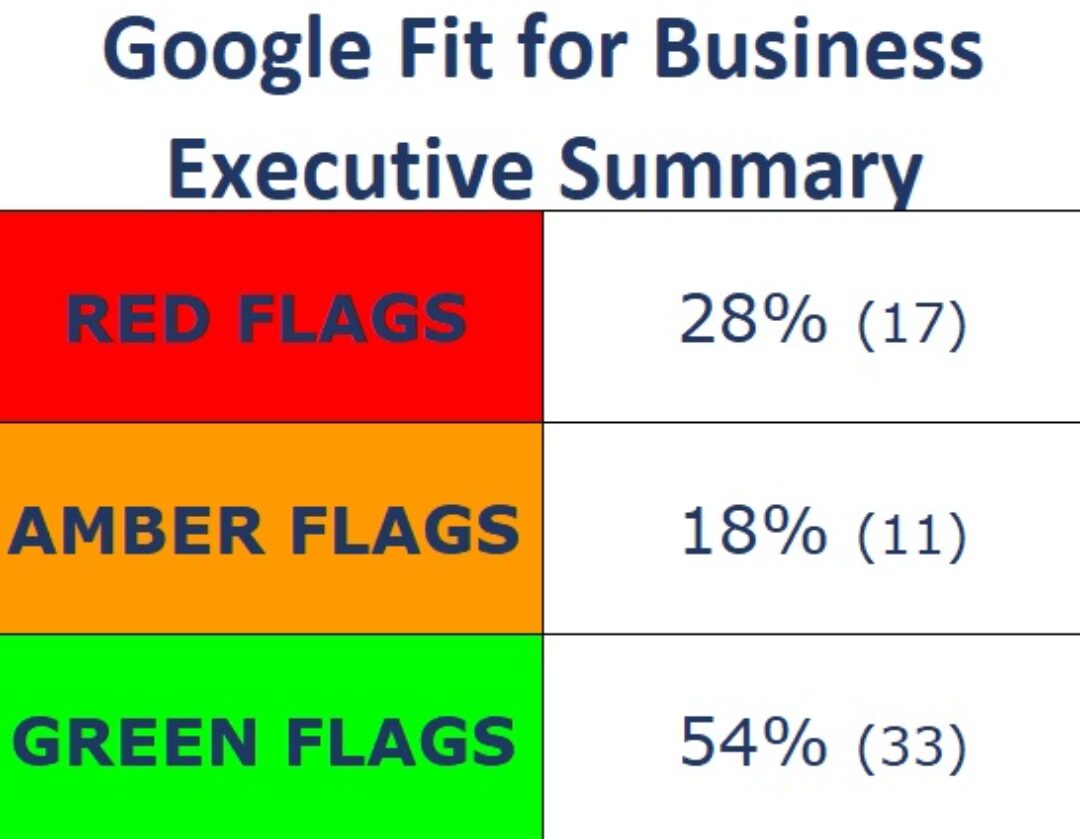 Google Fit For Business Executive Summary by Relton Digital Marketing