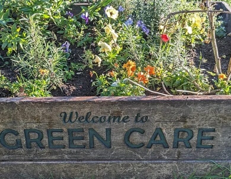 Welcome to Green Care - because Relton Digital Marketing cares about siciaty
